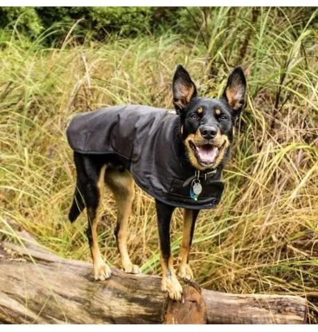 Dog Coats Oilskin Woollen