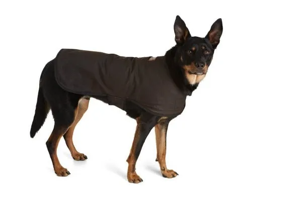 Dog Coats Oilskin Woollen